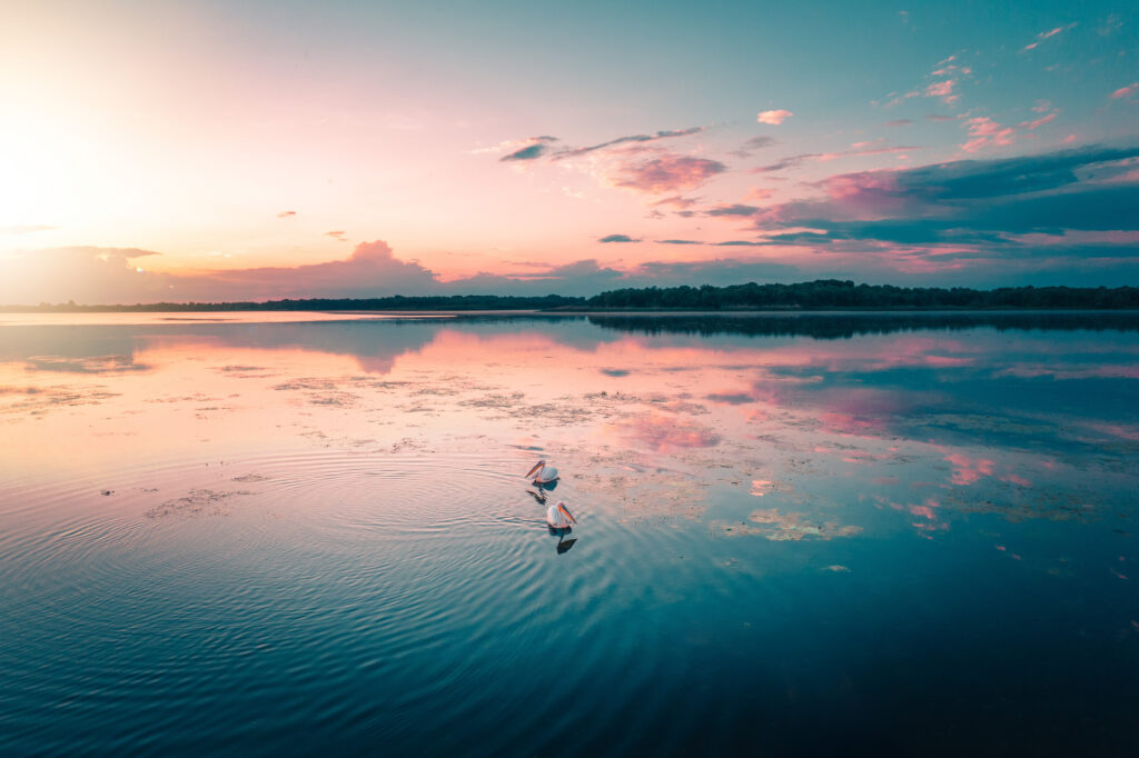 edited with lens distortions v4.6.0